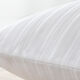 Luxury Goose Down Organic Cotton Cover Pillow White Trim - silo 3
